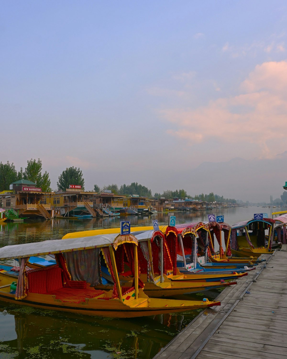 Colourful shikaras moored on Dal Lake, Kashmir