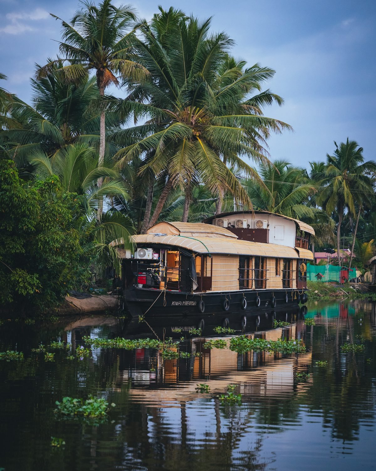 Houseboat travelling through palm-lined Kerala backwaters